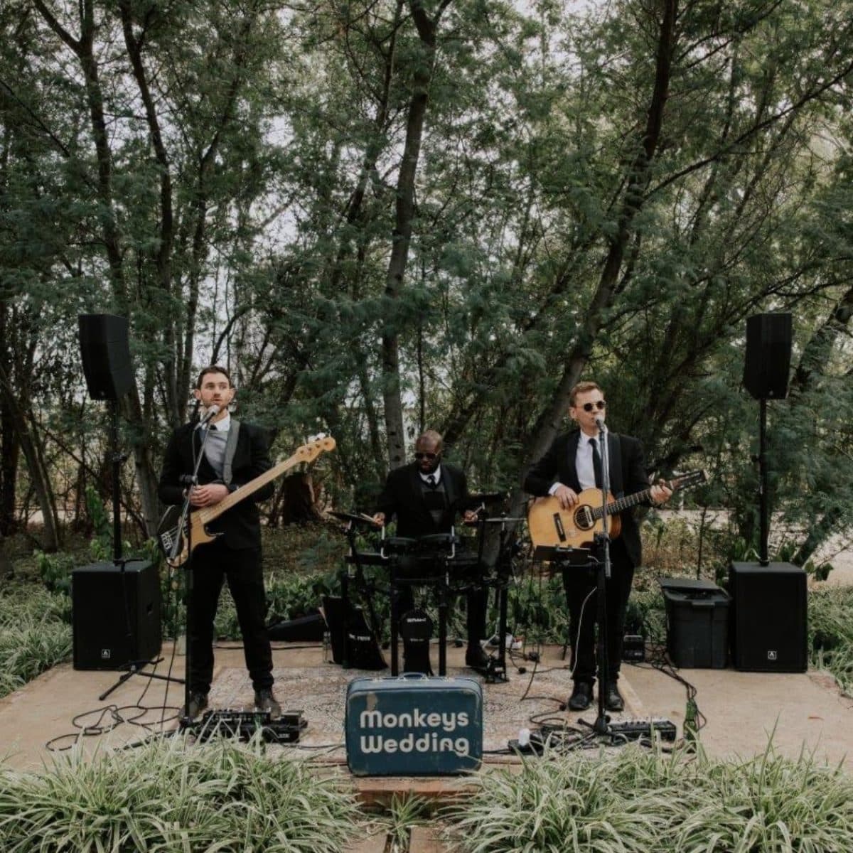 Monkeys Wedding